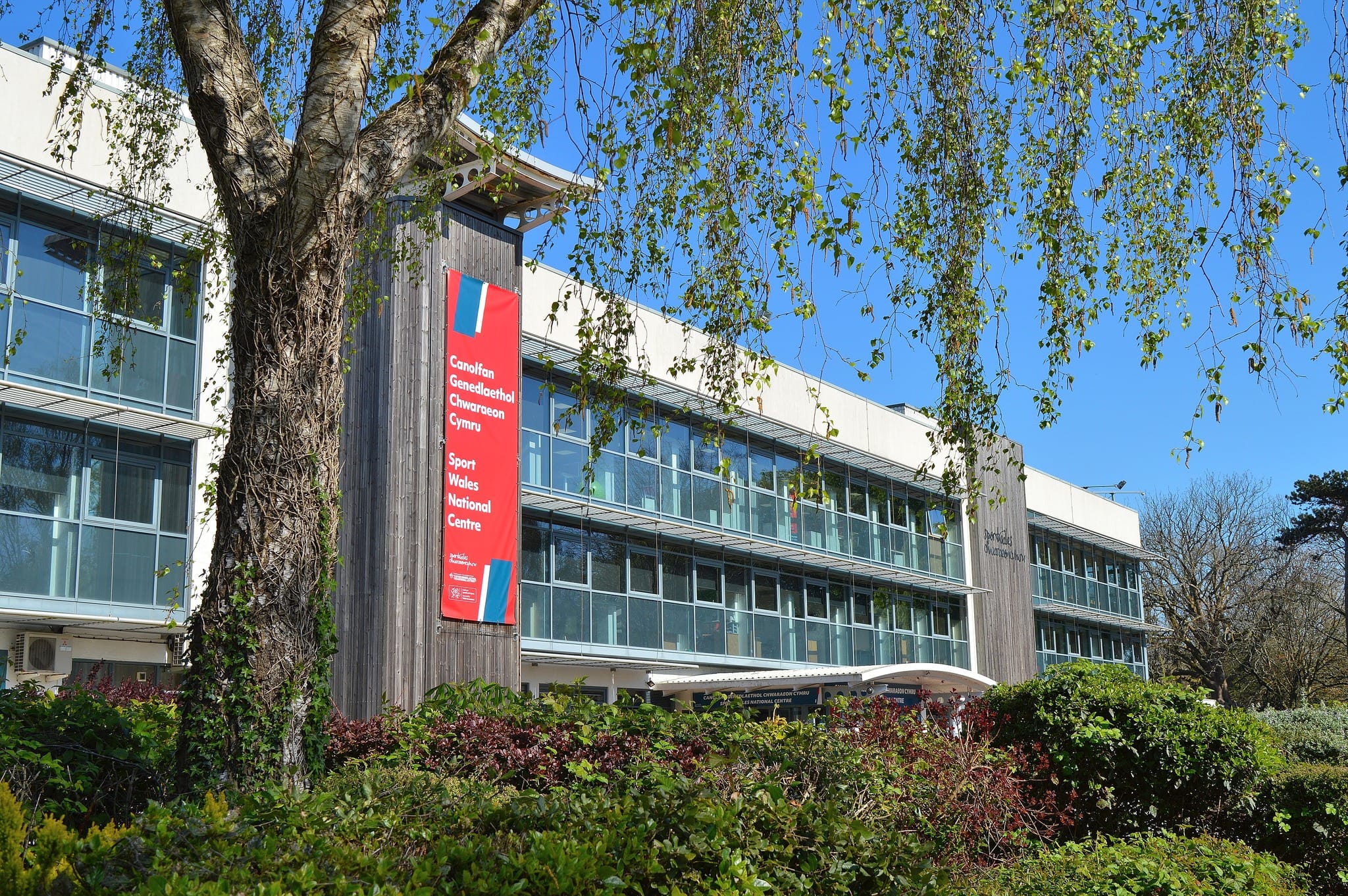 A modern two‑storey building with large glass windows and vertical wooden panels, partially shaded by a tall tree with hanging green leaves in the foreground. A red bilingual sign reading ‘Sport Wales National Centre’ is mounted on the building. Dense shrubs and greenery line the front, and the sky is clear and blue.