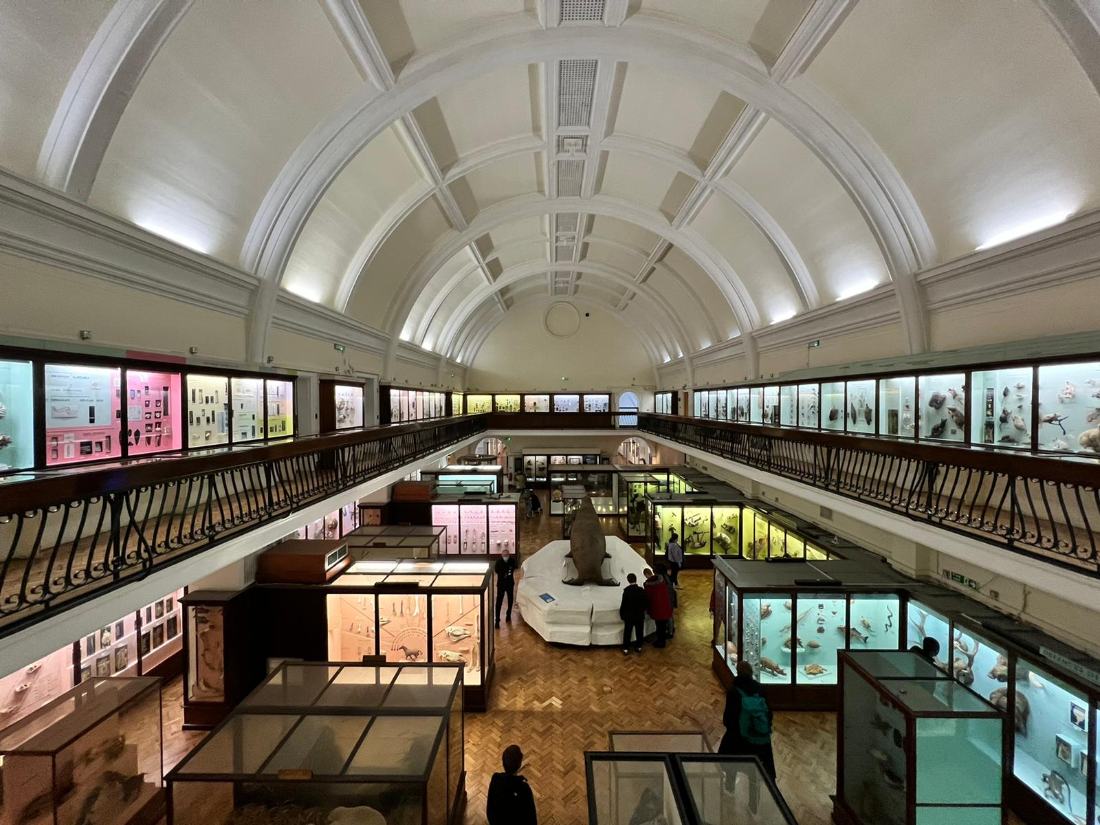 Horniman Museum interior featuring exhibits with multi-coloured lighting across the room.