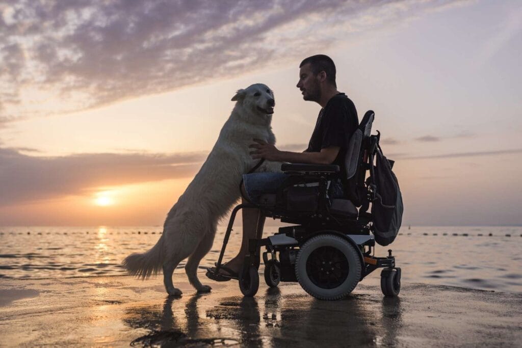 A person in a motorized wheelchair interacts with a large white dog on a waterfront at sunset. The dog stands on its hind legs with its front paws resting gently on the person's lap. The person is seated and facing the dog, creating a moment of connection and affection. Behind them, a calm body of water reflects the warm hues of the setting sun, casting a golden glow across the sky and rippling surface. The scene evokes tranquility, companionship, and inclusive outdoor enjoyment.